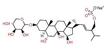 Asteriidoside L